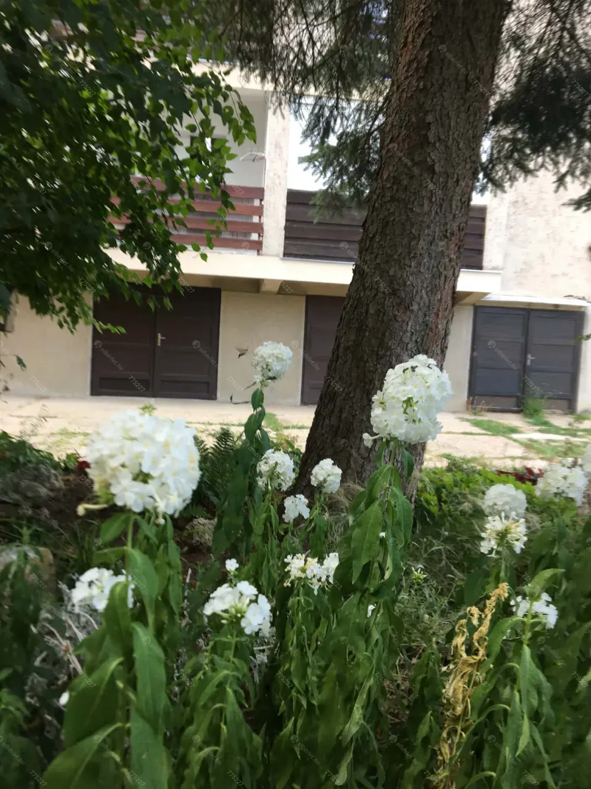 Kiadó albérlet 270000 Ft/hó áron: Budapest, XII. kerület  Szilassy út. Mérete: 47 nm, 2 szobás | Alberlet.hu - 6668817