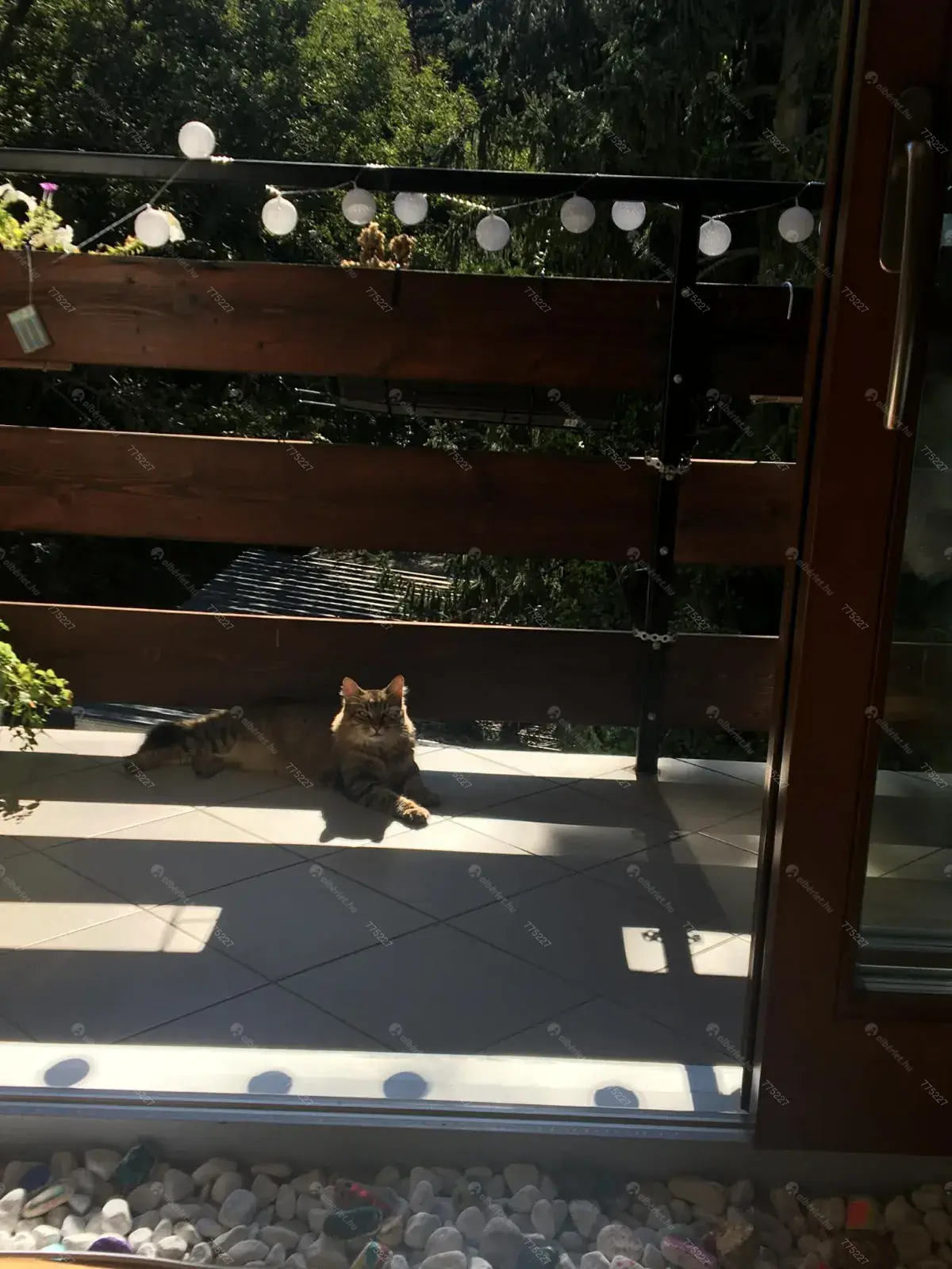 Kiadó albérlet 270000 Ft/hó áron: Budapest, XII. kerület  Szilassy út. Mérete: 47 nm, 2 szobás | Alberlet.hu - 6668819