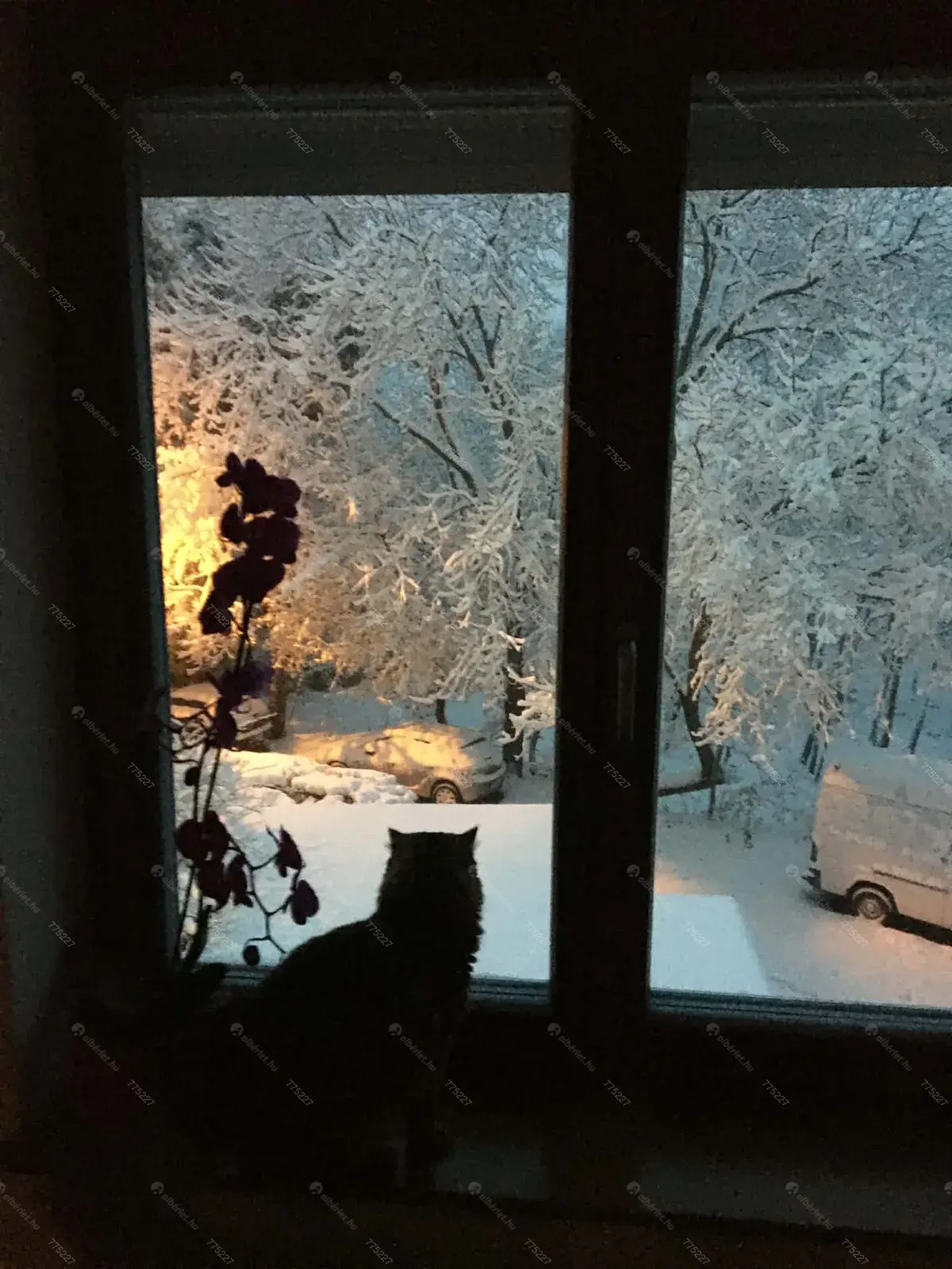 Kiadó albérlet 270000 Ft/hó áron: Budapest, XII. kerület  Szilassy út. Mérete: 47 nm, 2 szobás | Alberlet.hu - 6668820