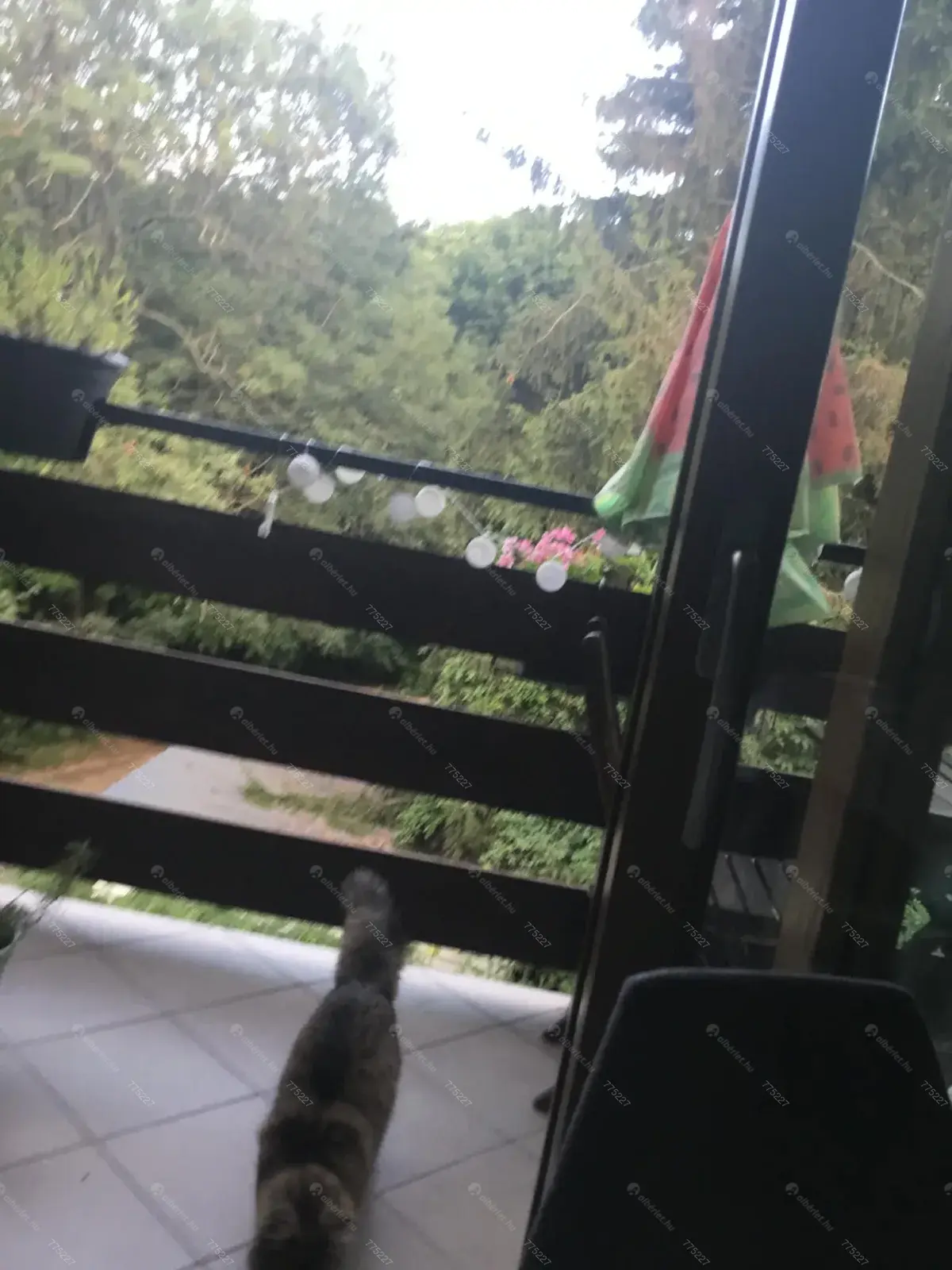 Kiadó albérlet 270000 Ft/hó áron: Budapest, XII. kerület  Szilassy út. Mérete: 47 nm, 2 szobás | Alberlet.hu - 6668823