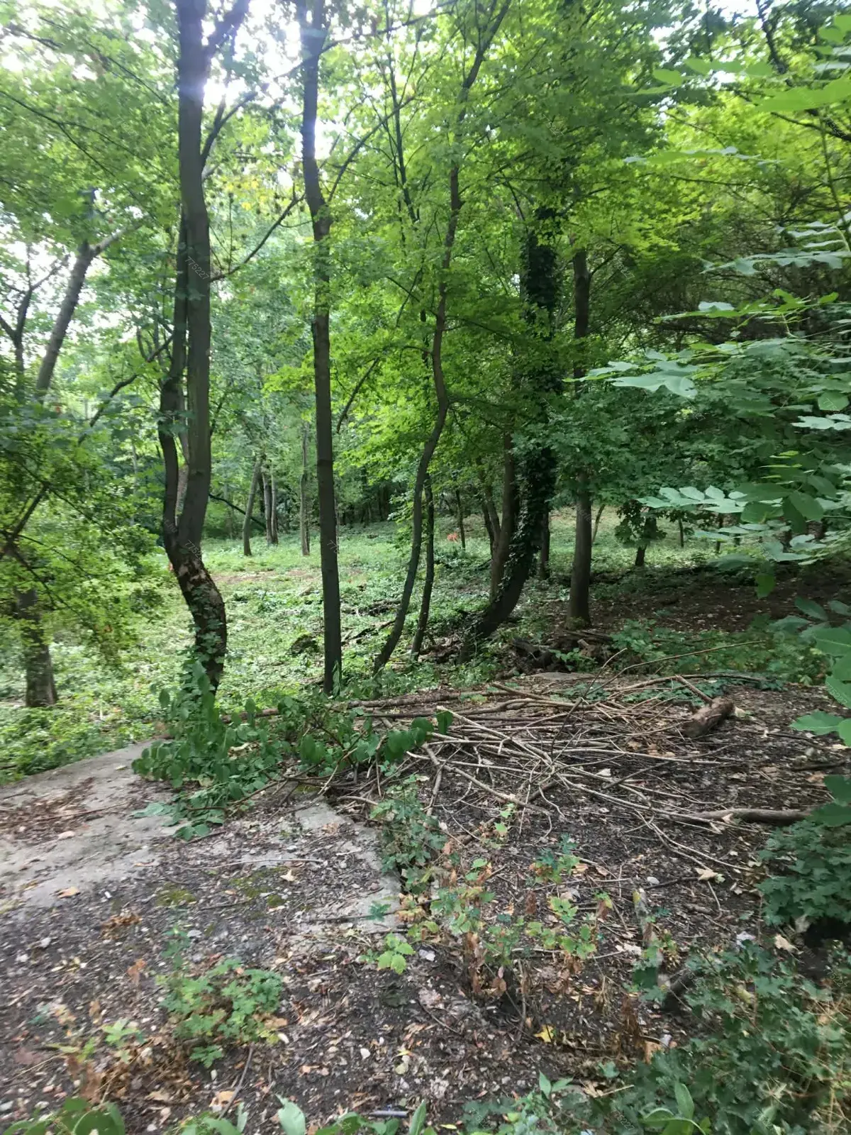 Kiadó albérlet 270000 Ft/hó áron: Budapest, XII. kerület  Szilassy út. Mérete: 47 nm, 2 szobás | Alberlet.hu - 6668824