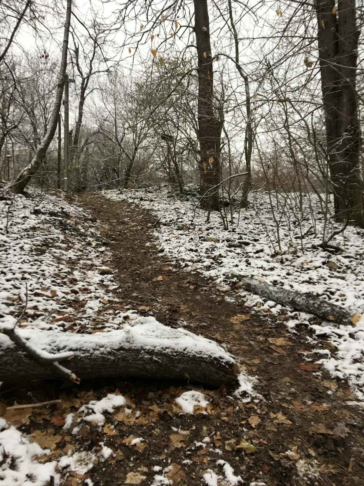 Kiadó albérlet 270000 Ft/hó áron: Budapest, XII. kerület  Szilassy út. Mérete: 47 nm, 2 szobás | Alberlet.hu - 6668825