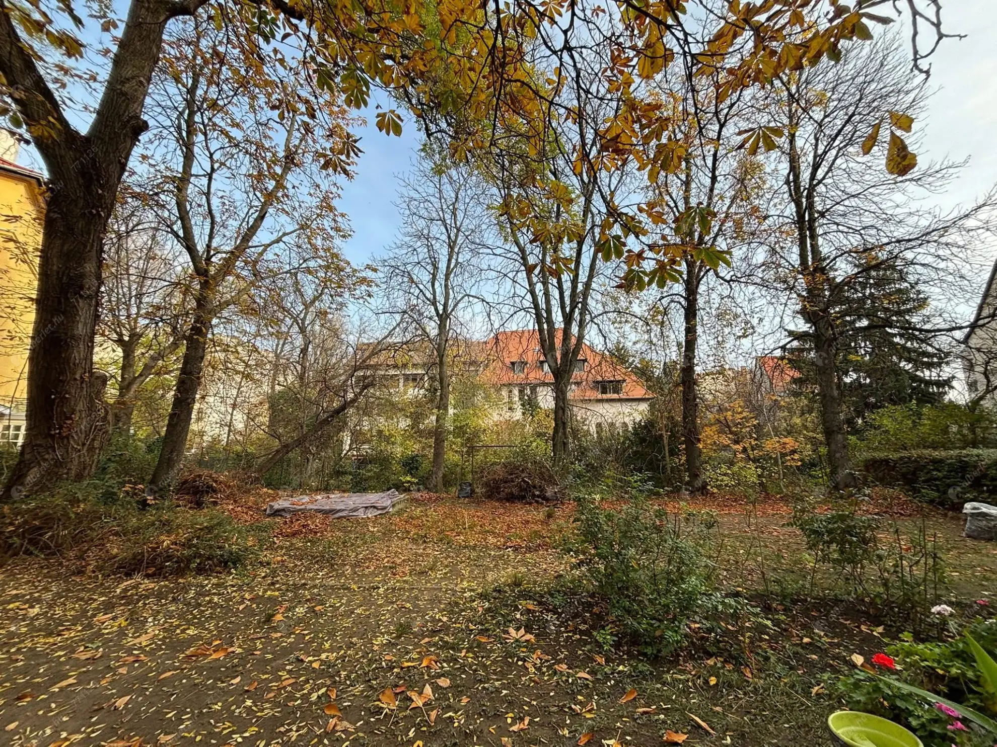 Kiadó albérlet 220000 Ft/hó áron: Budapest, XII. kerület  Tartsay Vilmos utca. Mérete: 31 nm, 1 szobás | Alberlet.hu - 6584987