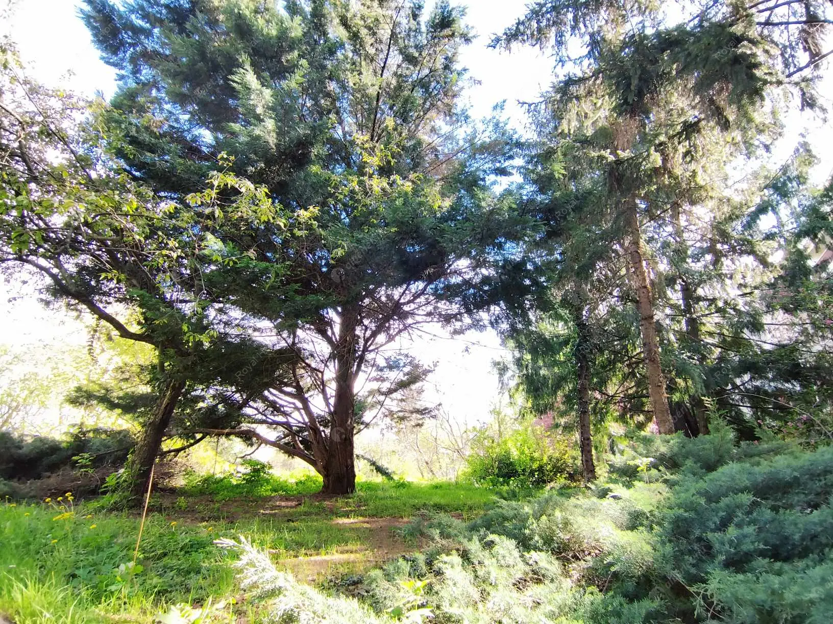 Kiadó albérlet 255000 Ft/hó áron: Budapest, XII. kerület  Tündér utca. Mérete: 50 nm, 2 szobás | Alberlet.hu - 6608664