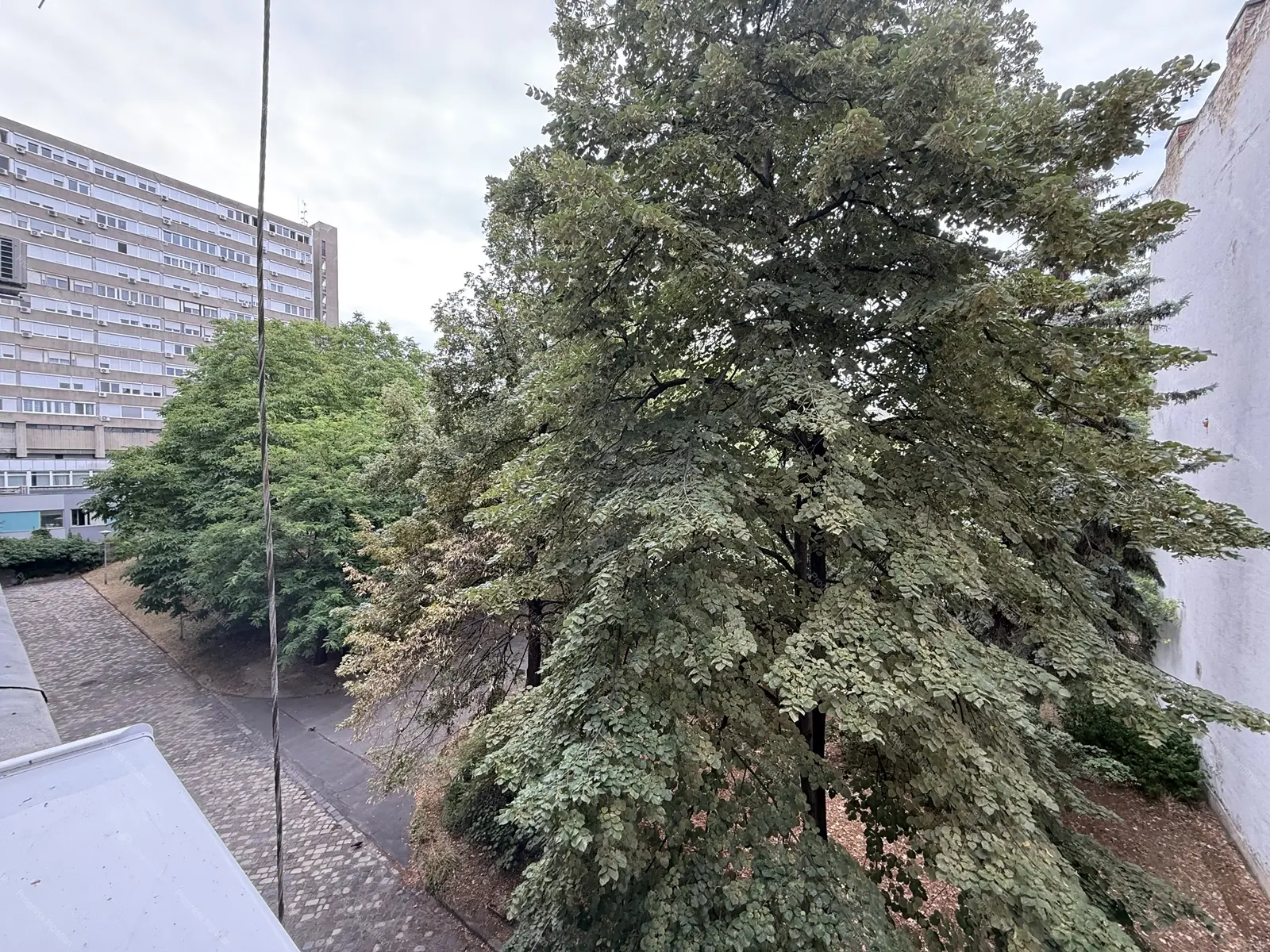 Kiadó albérlet 265000 Ft/hó áron: Budapest, XIII. kerület  Bessenyei utca. Mérete: 61 nm, 2 szobás | Alberlet.hu - 6667788