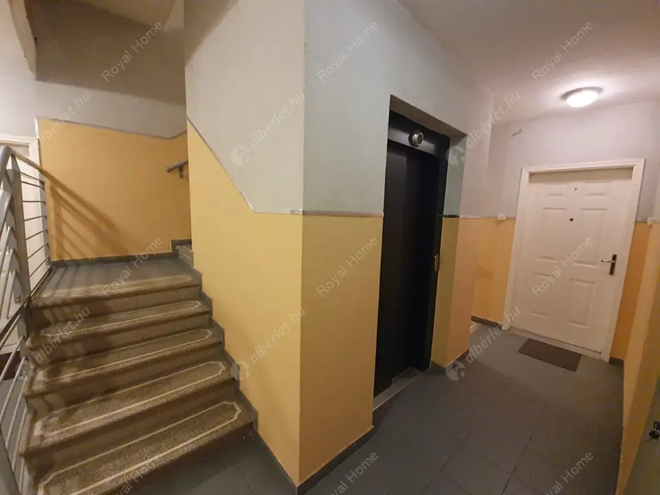 Kiadó albérlet 295000 Ft/hó áron: Budapest, XIII. kerület  Csángó  . Mérete: 64 nm, 3 szobás | Alberlet.hu - 5657603