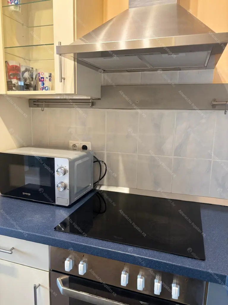 Kiadó albérlet 280000 Ft/hó áron: Budapest, XIII. kerület  Danubius utca. Mérete: 44 nm, 1 szobás | Alberlet.hu - 6668443