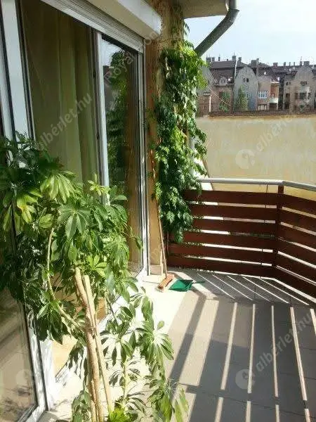 Kiadó albérlet 230000 Ft/hó áron: Budapest, XIII. kerület  Dolmány utca. Mérete: 45 nm, 1 szobás | Alberlet.hu - 6585665