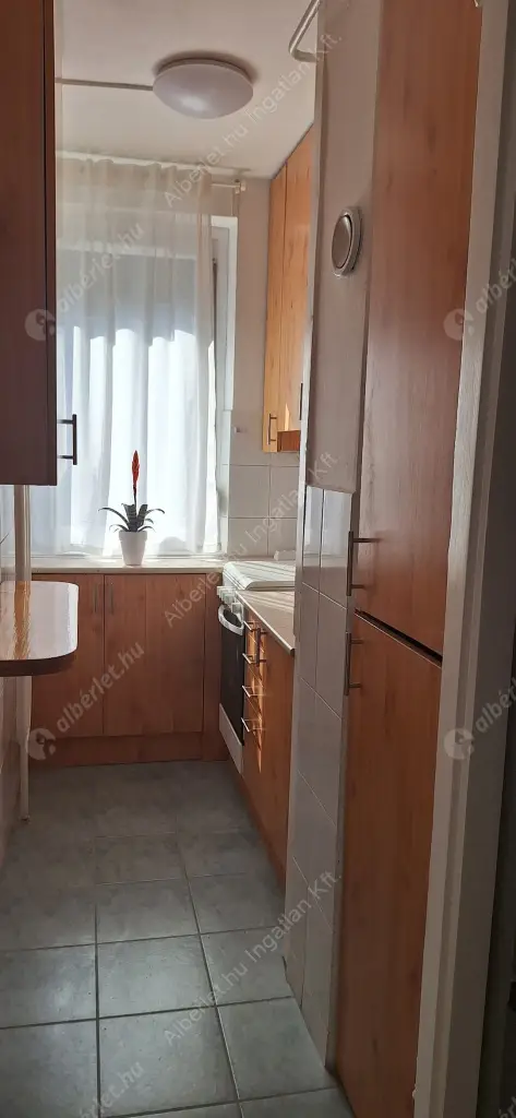 Kiadó albérlet 270000 Ft/hó áron: Budapest, XIII. kerület  Gyöngyösi utca. Mérete: 35 nm, 1 szobás | Alberlet.hu - 6539243