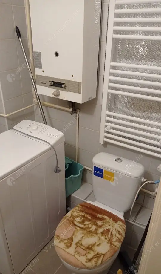 Kiadó albérlet 180000 Ft/hó áron: Budapest, XIII. kerület  Hegedűs Gyula utca. Mérete: 32 nm, 1 szobás | Alberlet.hu - 5782498