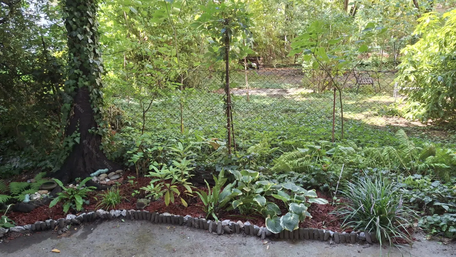 Kiadó albérlet 250000 Ft/hó áron: Budapest, XIII. kerület   Hollán E. u. . Mérete: 40 nm, 1 szobás | Alberlet.hu - 6528280