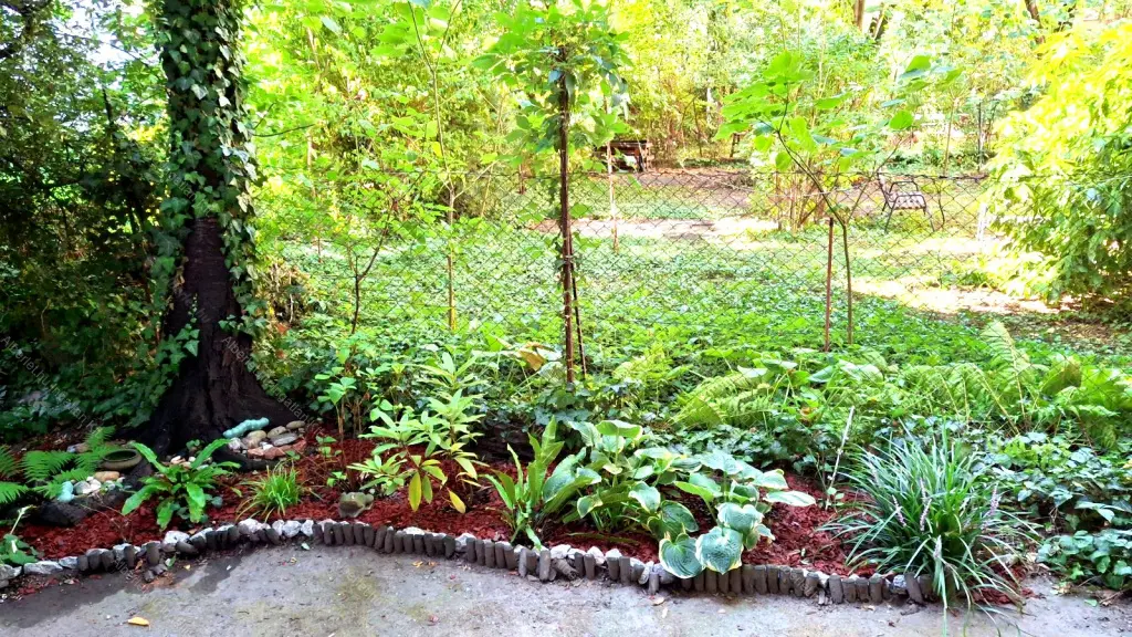 Kiadó albérlet 250000 Ft/hó áron: Budapest, XIII. kerület  Hollán Ernő utca. Mérete: 40 nm, 1 szobás | Alberlet.hu - 6661113