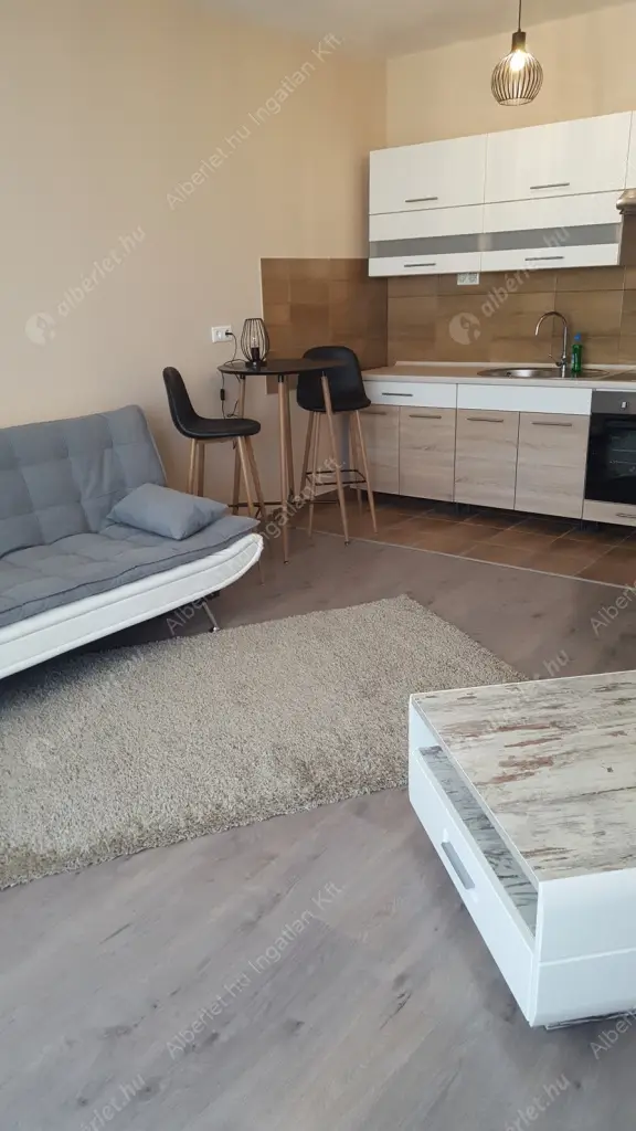 Kiadó albérlet 285000 Ft/hó áron: Budapest, XIII. kerület  Jász utca. Mérete: 44 nm, 2 szobás | Alberlet.hu - 6631444