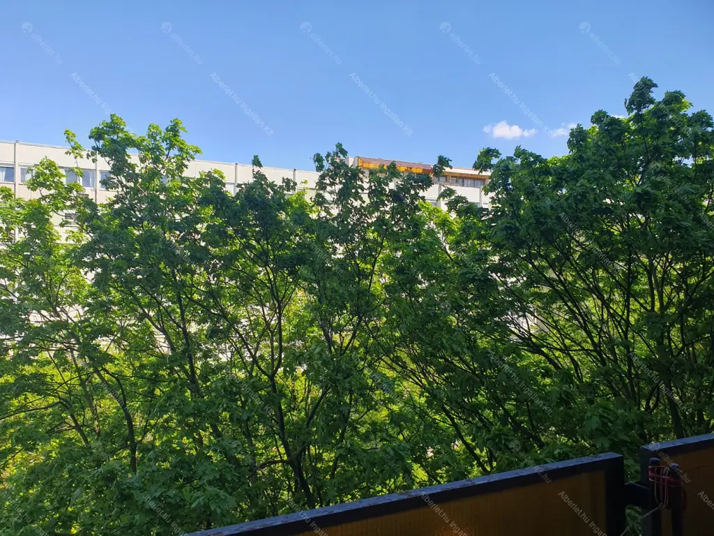 Kiadó albérlet 195000 Ft/hó áron: Budapest, XIII. kerület  Karikás Frigyes utca. Mérete: 46 nm, 1 szobás | Alberlet.hu - 6701751