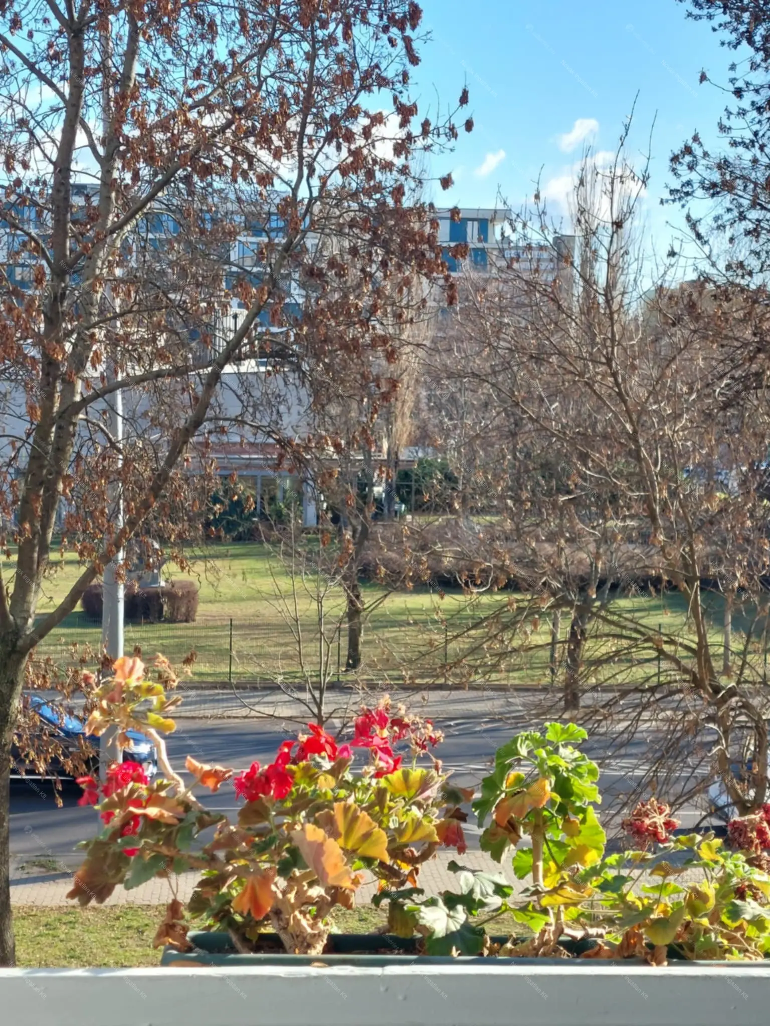 Kiadó albérlet 230000 Ft/hó áron: Budapest, XIII. kerület  Kárpát utca. Mérete: 54 nm, 1 szobás | Alberlet.hu - 6644522