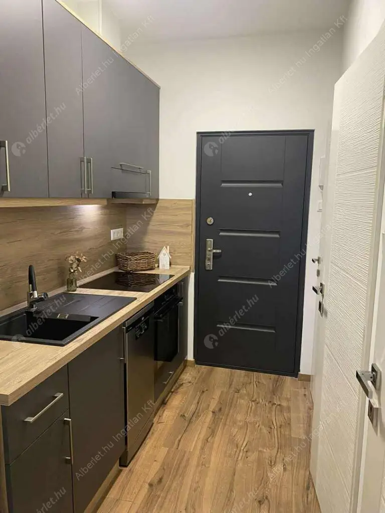 Kiadó albérlet 250000 Ft/hó áron: Budapest, XIII. kerület  Lehel utca. Mérete: 45 nm, 1 szobás | Alberlet.hu - 6565965