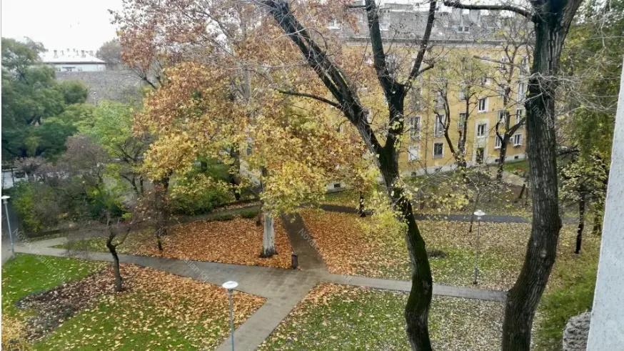 Kiadó albérlet 175000 Ft/hó áron: Budapest, XIII. kerület  Máglya köz. Mérete: 35 nm, 1 szobás | Alberlet.hu - 6655780