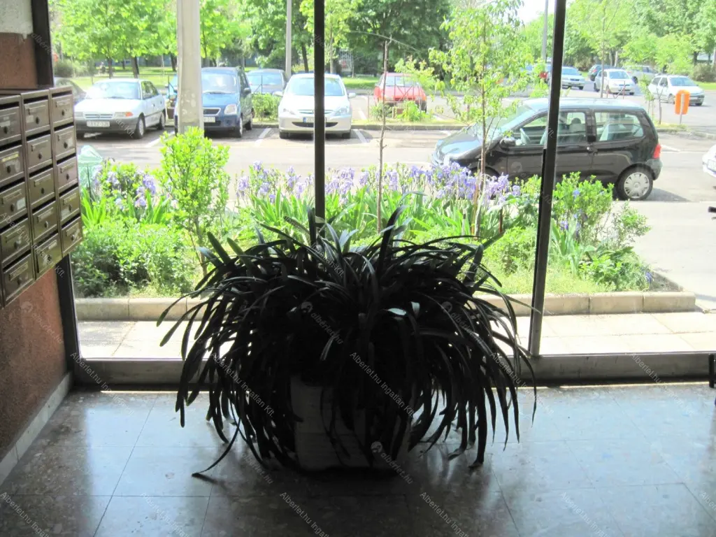 Kiadó albérlet 230000 Ft/hó áron: Budapest, XIII. kerület  Népfürdő utca. Mérete: 49 nm, 2 szobás | Alberlet.hu - 6686863