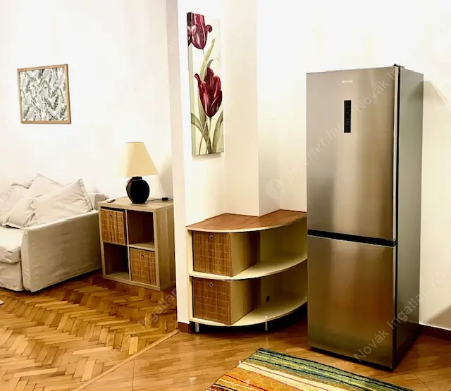 Kiadó albérlet 270000 Ft/hó áron: Budapest, XIII. kerület  Pannónia utca. Mérete: 270 nm, 1 szobás | Alberlet.hu - 6589815