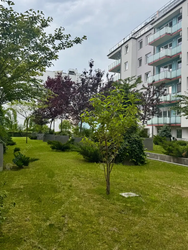 Kiadó albérlet 395000 Ft/hó áron: Budapest, XIII. kerület  Röppentyű utca. Mérete: 68 nm, 3 szobás | Alberlet.hu - 6632871