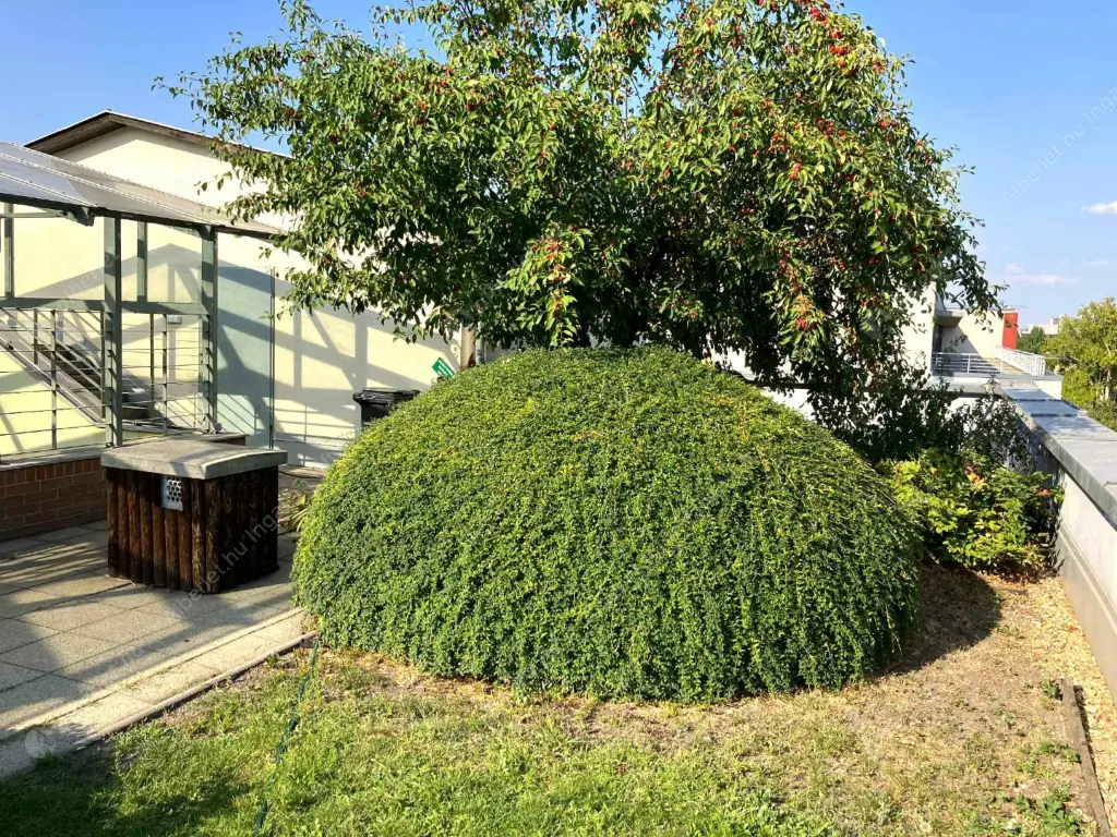 Kiadó albérlet 210000 Ft/hó áron: Budapest, XIII. kerület  Szabolcs utca. Mérete: 32 nm, 1 szobás | Alberlet.hu - 6572573