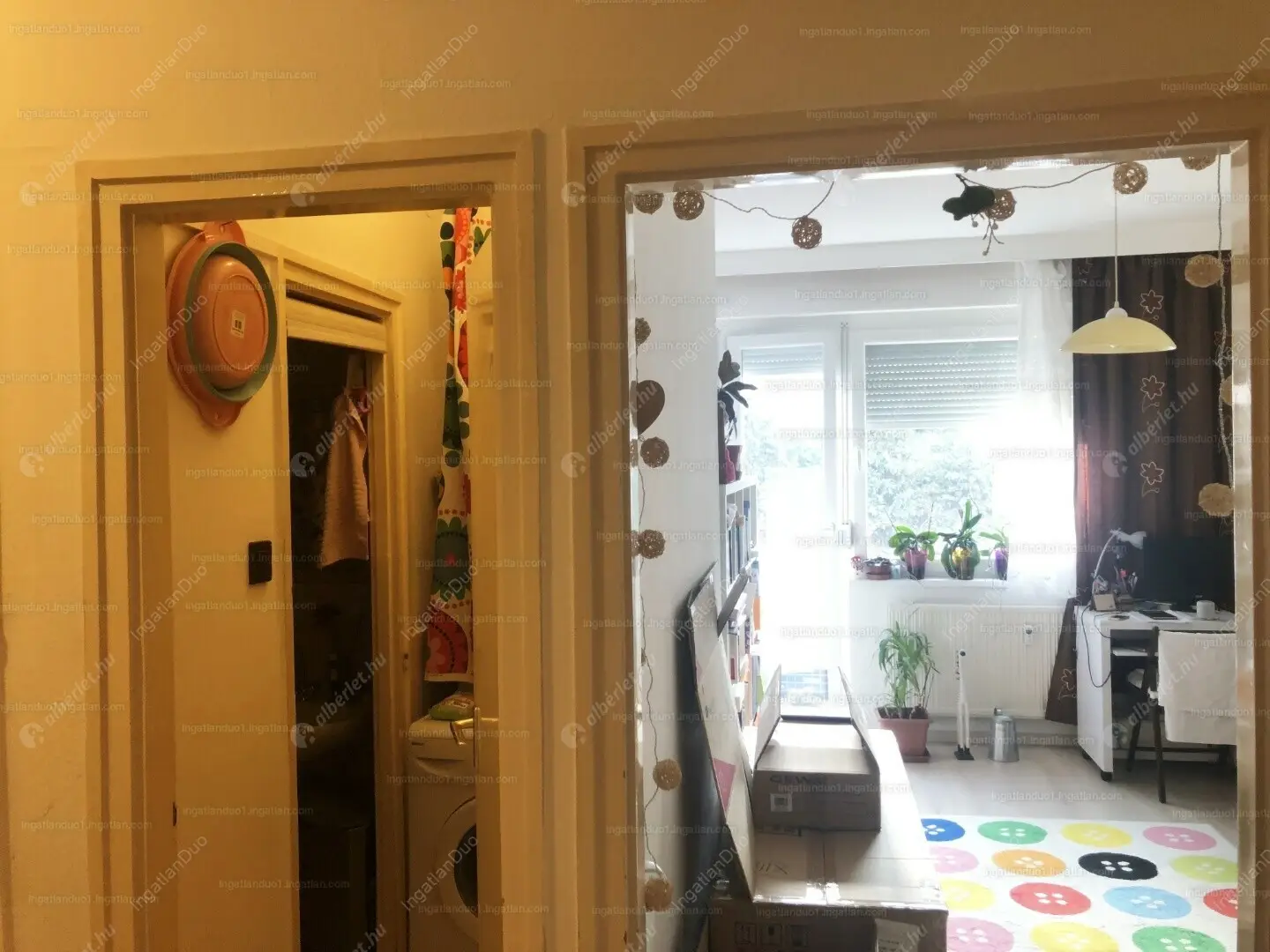 Kiadó albérlet 180000 Ft/hó áron: Budapest, XIII. kerület  Szent László út. Mérete: 35 nm, 1 szobás | Alberlet.hu - 6215899