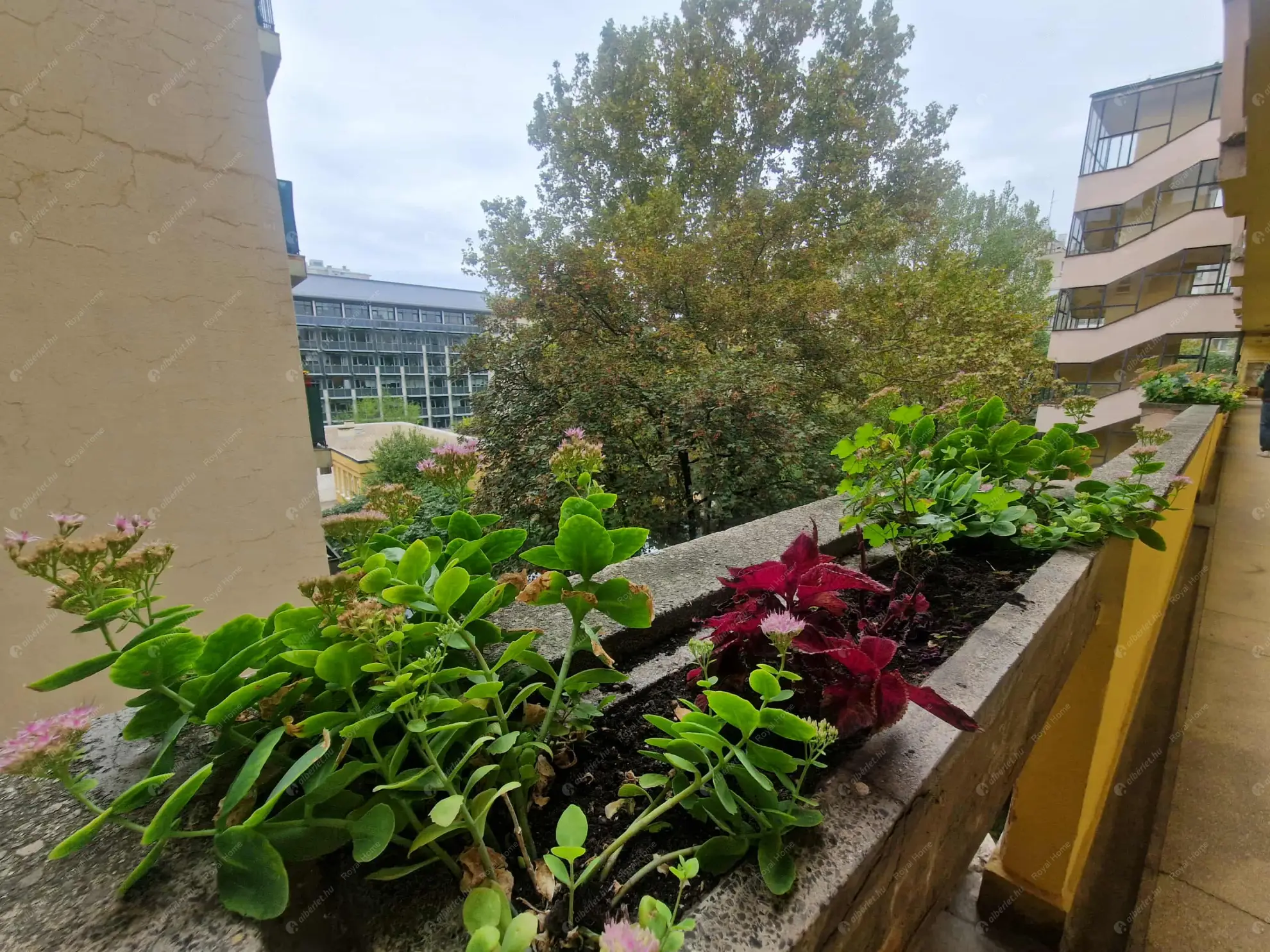 Kiadó albérlet 390000 Ft/hó áron: Budapest, XIII. kerület  Thurzó utca. Mérete: 80 nm, 2 szobás | Alberlet.hu - 6557061