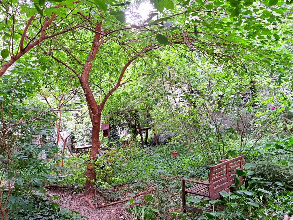 Kiadó albérlet 420000 Ft/hó áron: Budapest, XIII. kerület  Visegrádi utca. Mérete: 70 nm, 3 szobás | Alberlet.hu - 6643029