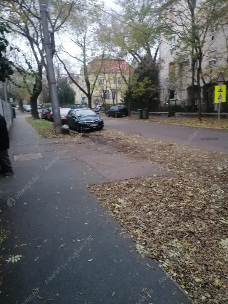 Kiadó albérlet 190000 Ft/hó áron: Budapest, XIV. kerület  Amerikai út. Mérete: 40 nm, 1 szobás | Alberlet.hu - 6596054