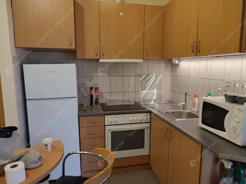 Kiadó albérlet 230000 Ft/hó áron: Budapest, XIV. kerület  Amerikai út. Mérete: 45 nm, 1 szobás | Alberlet.hu - 6590460