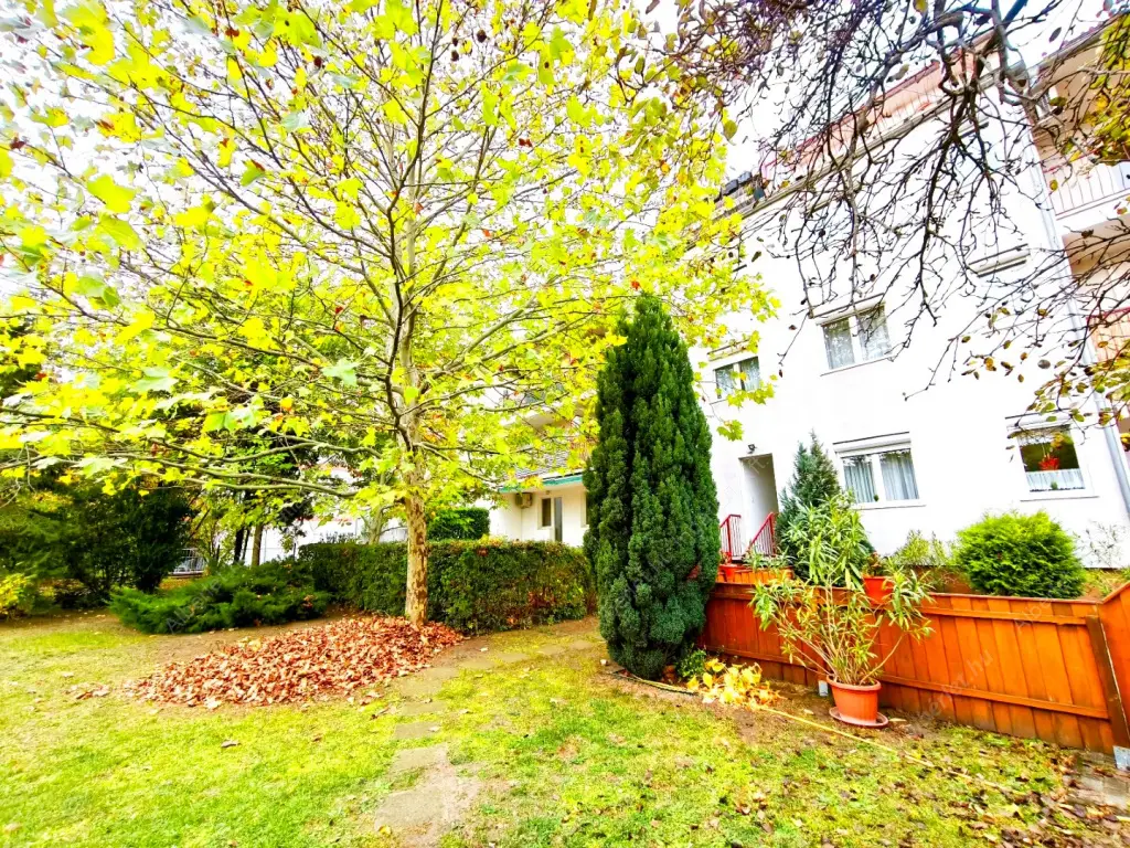 Kiadó albérlet 220000 Ft/hó áron: Budapest, XIV. kerület  Beckó utca. Mérete: 48 nm, 2 szobás | Alberlet.hu - 6569394