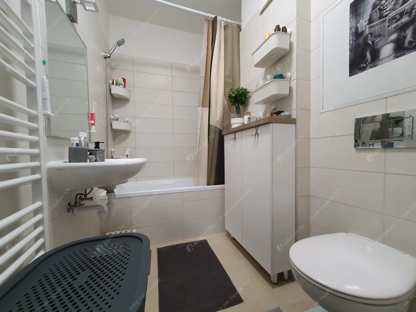 Kiadó albérlet 250000 Ft/hó áron: Budapest, XIV. kerület  Cserei utca. Mérete: 40 nm, 2 szobás | Alberlet.hu - 6632068