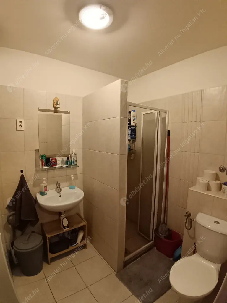 Kiadó albérlet 250000 Ft/hó áron: Budapest, XIV. kerület  Dózsa György út. Mérete: 29 nm, 1 szobás | Alberlet.hu - 6628567