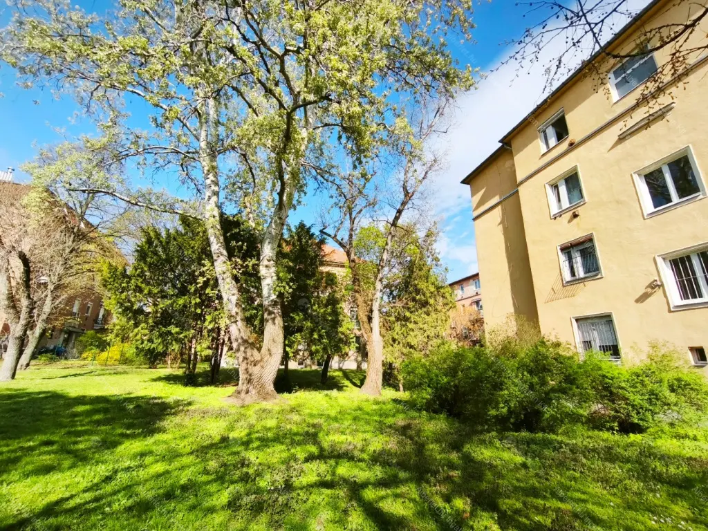 Kiadó albérlet 220000 Ft/hó áron: Budapest, XIV. kerület  Erzsébet királyné útja. Mérete: 53 nm, 2 szobás | Alberlet.hu - 6696397