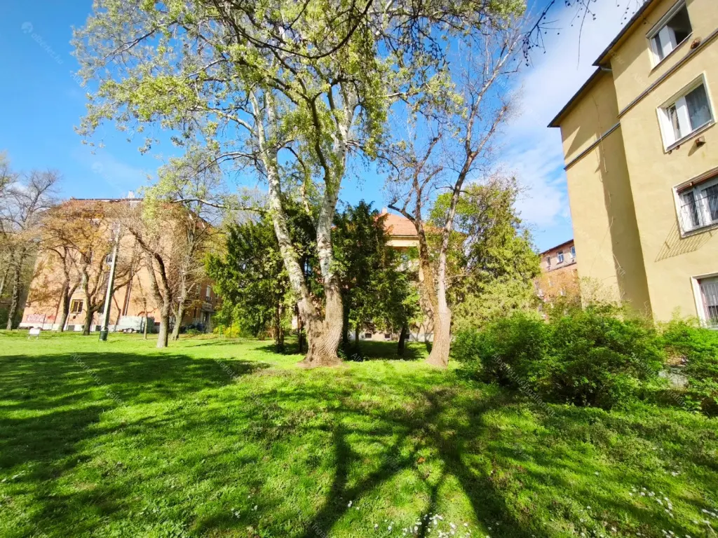 Kiadó albérlet 220000 Ft/hó áron: Budapest, XIV. kerület  Erzsébet királyné útja. Mérete: 53 nm, 2 szobás | Alberlet.hu - 6696398