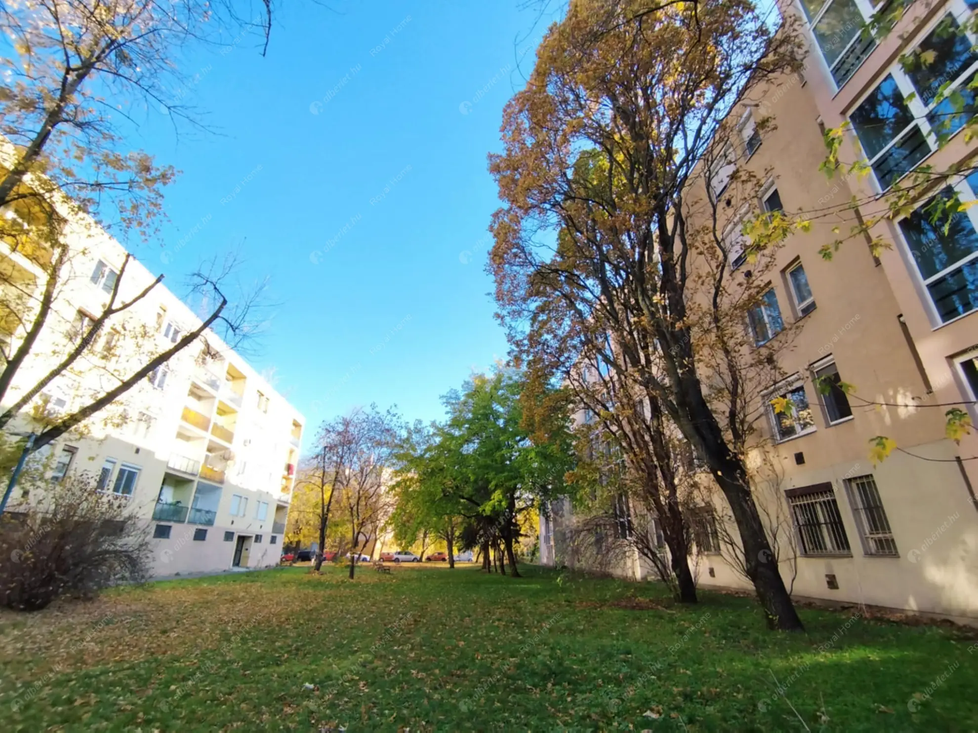 Kiadó albérlet 219000 Ft/hó áron: Budapest, XIV. kerület  Félhold utca. Mérete: 56 nm, 2 szobás | Alberlet.hu - 6574416