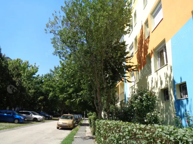 Kiadó albérlet 250000 Ft/hó áron: Budapest, XIV. kerület  Francia út. Mérete: 54 nm, 2 szobás | Alberlet.hu - 6517869