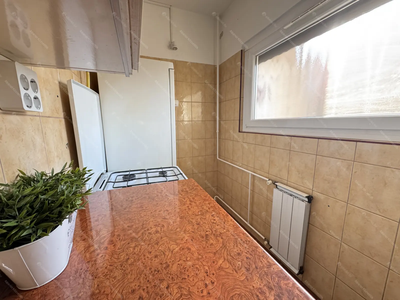 Kiadó albérlet 140000 Ft/hó áron: Budapest, XIV. kerület  Füredi utca. Mérete: 49 nm, 2 szobás | Alberlet.hu - 6656451