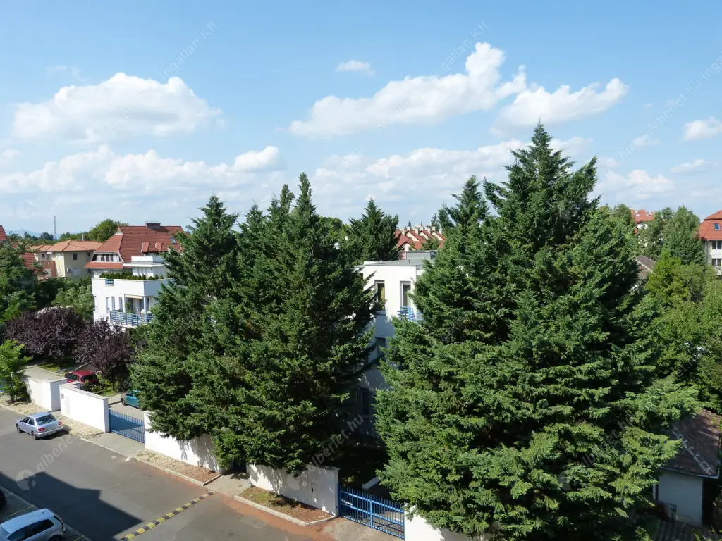 Kiadó albérlet 270000 Ft/hó áron: Budapest, XIV. kerület  Huszt utca. Mérete: 49 nm, 2 szobás | Alberlet.hu - 6519621