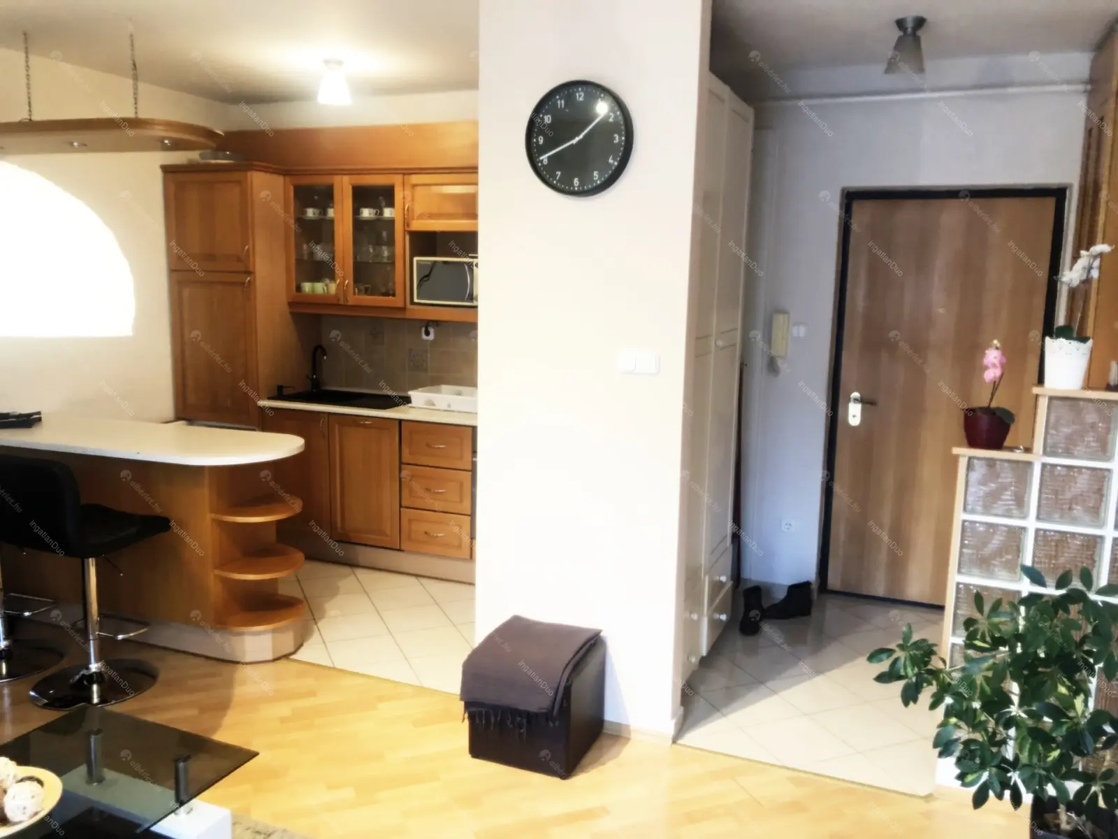 Kiadó albérlet 230000 Ft/hó áron: Budapest, XIV. kerület  Kalocsai utca. Mérete: 42 nm, 1 szobás | Alberlet.hu - 5898977