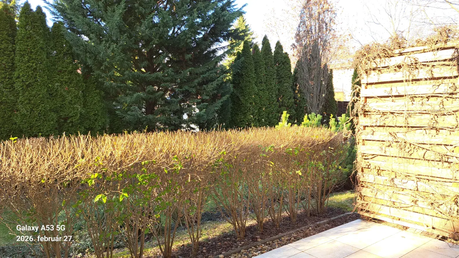 Kiadó albérlet 420000 Ft/hó áron: Budapest, XIV. kerület  Kőszeg utca. Mérete: 50 nm, 2 szobás | Alberlet.hu - 6663641