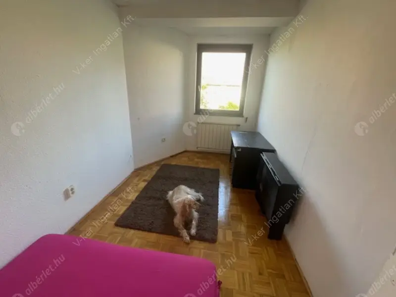 Kiadó albérlet 250000 Ft/hó áron: Budapest, XIV. kerület  Kövér Lajos utca. Mérete: 110 nm, 2 szobás | Alberlet.hu - 6599164