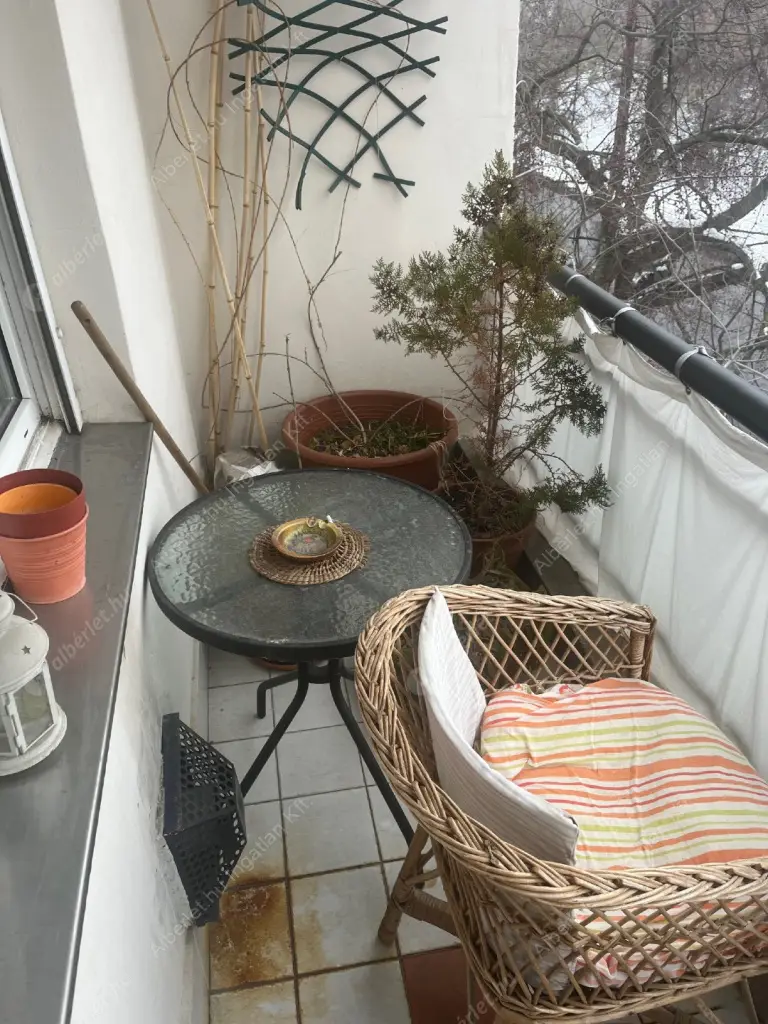 Kiadó albérlet 250000 Ft/hó áron: Budapest, XIV. kerület  Mexikói út. Mérete: 52 nm, 1 szobás | Alberlet.hu - 6626177