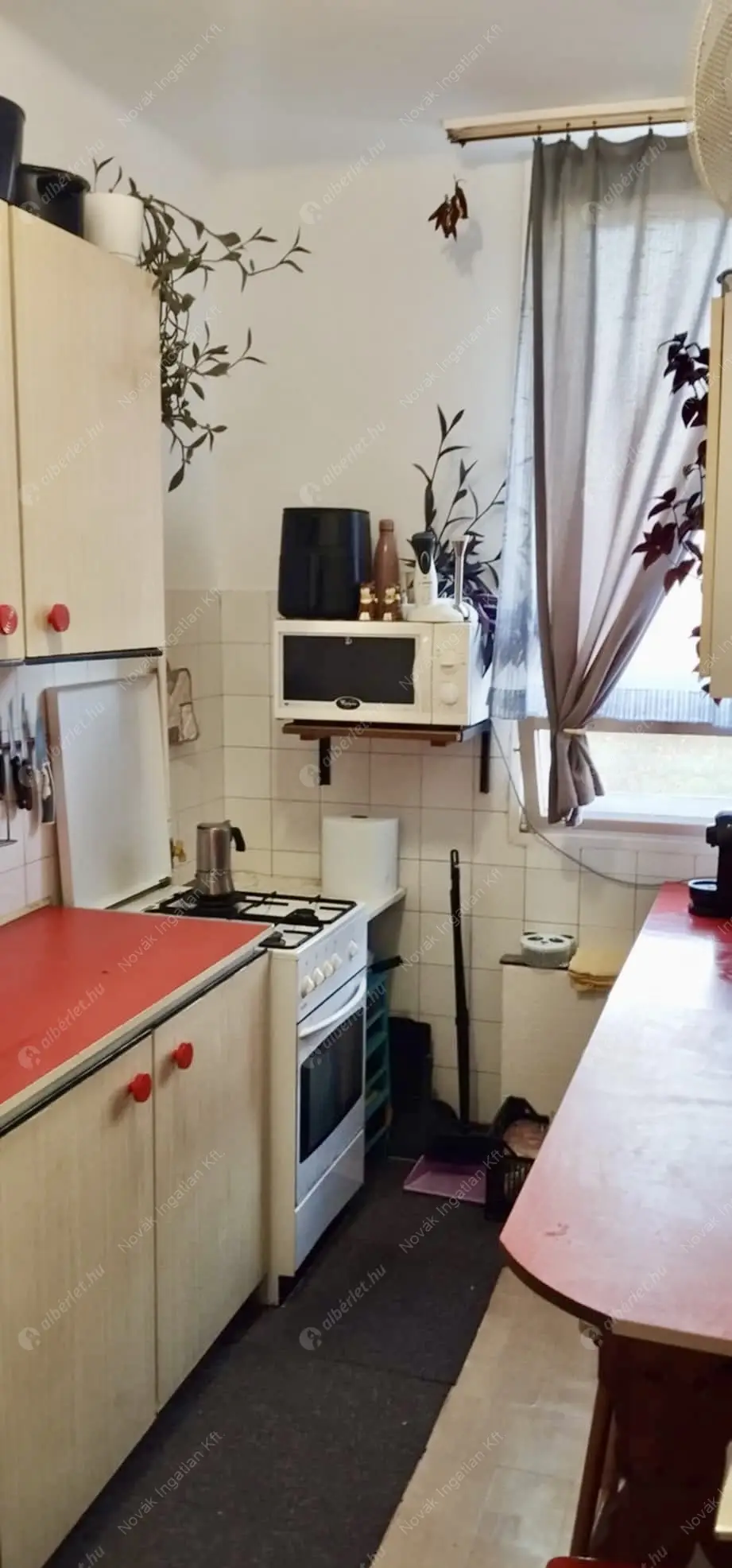 Kiadó albérlet 200000 Ft/hó áron: Budapest, XIV. kerület  Mogyoródi út. Mérete: 48 nm, 2 szobás | Alberlet.hu - 6580896