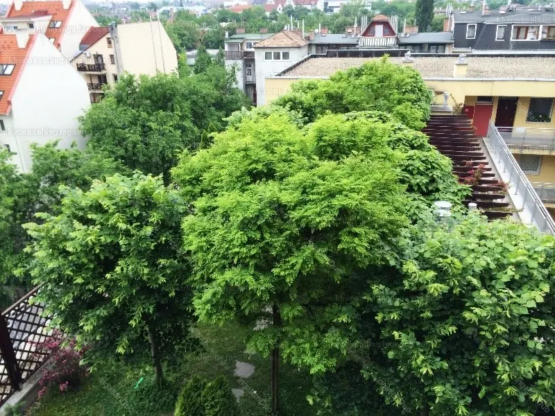 Kiadó albérlet 260000 Ft/hó áron: Budapest, XIV. kerület  Nagy Lajos király útja. Mérete: 50 nm, 1 szobás | Alberlet.hu - 4940869