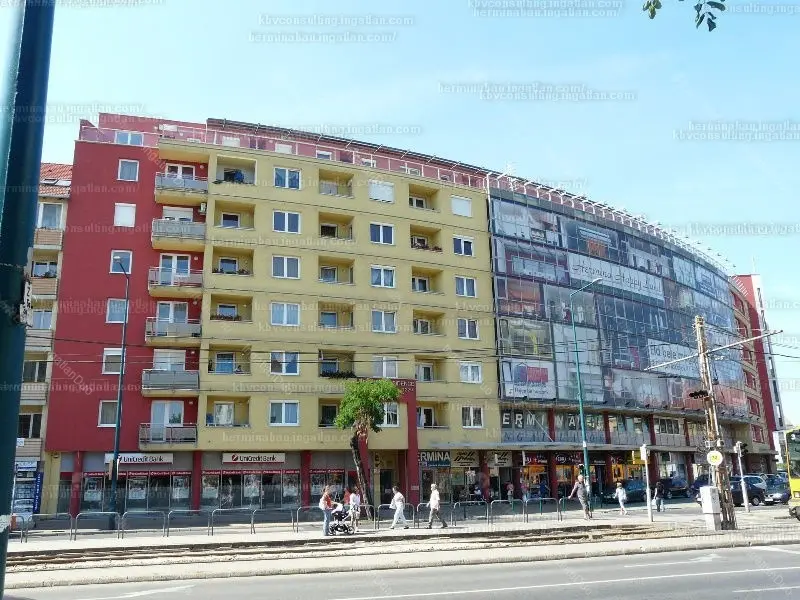 Kiadó albérlet 260000 Ft/hó áron: Budapest, XIV. kerület  Nagy Lajos király útja. Mérete: 50 nm, 1 szobás | Alberlet.hu - 4940870