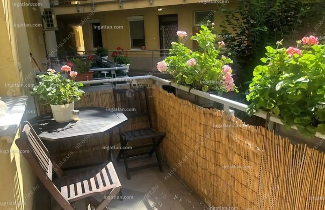 Kiadó albérlet 260000 Ft/hó áron: Budapest, XIV. kerület  Nagy Lajos király útja. Mérete: 50 nm, 2 szobás | Alberlet.hu - 6621137