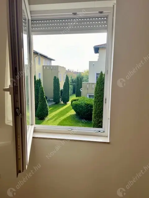 Kiadó albérlet 450000 Ft/hó áron: Budapest, XIV. kerület  Öv utca. Mérete: 120 nm, 4 szobás | Alberlet.hu - 6588918