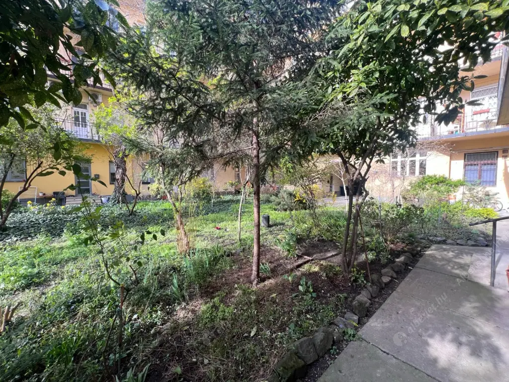 Kiadó albérlet 160000 Ft/hó áron: Budapest, XIV. kerület  Padlizsán utca. Mérete: 29 nm, 1 szobás | Alberlet.hu - 6597572