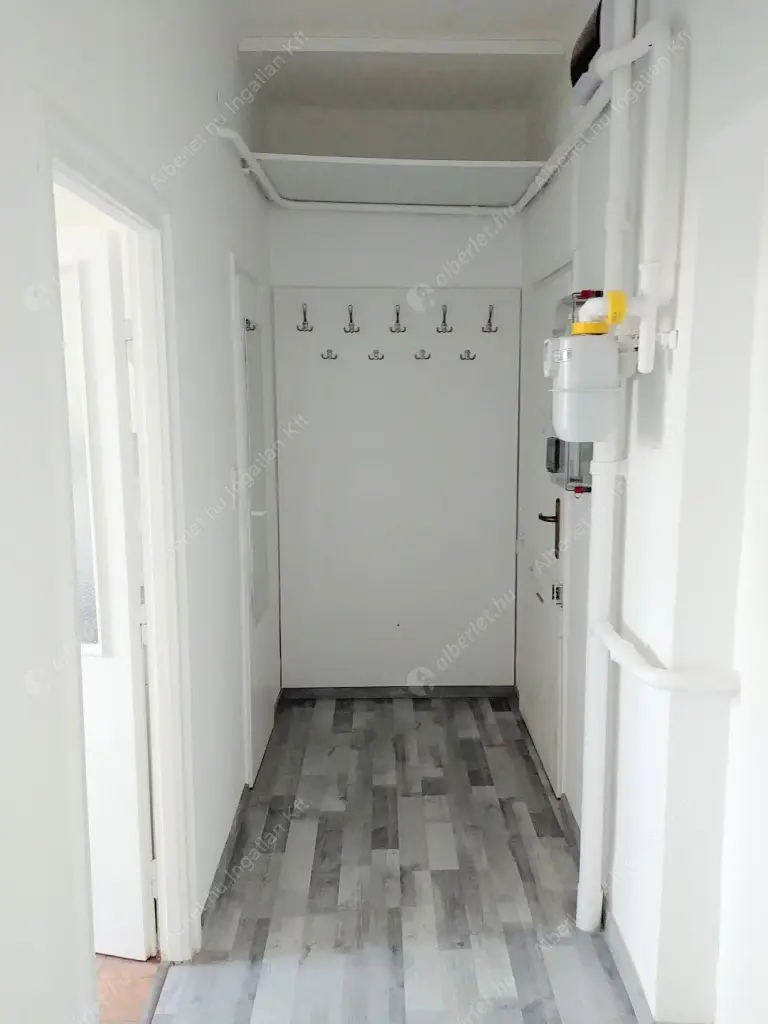 Kiadó albérlet 170000 Ft/hó áron: Budapest, XIV. kerület  Padlizsán utca. Mérete: 39 nm, 1 szobás | Alberlet.hu - 6573084